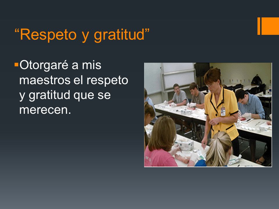 Respeto y gratitud Otorgaré a mis maestros el respeto y gratitud que se merecen.