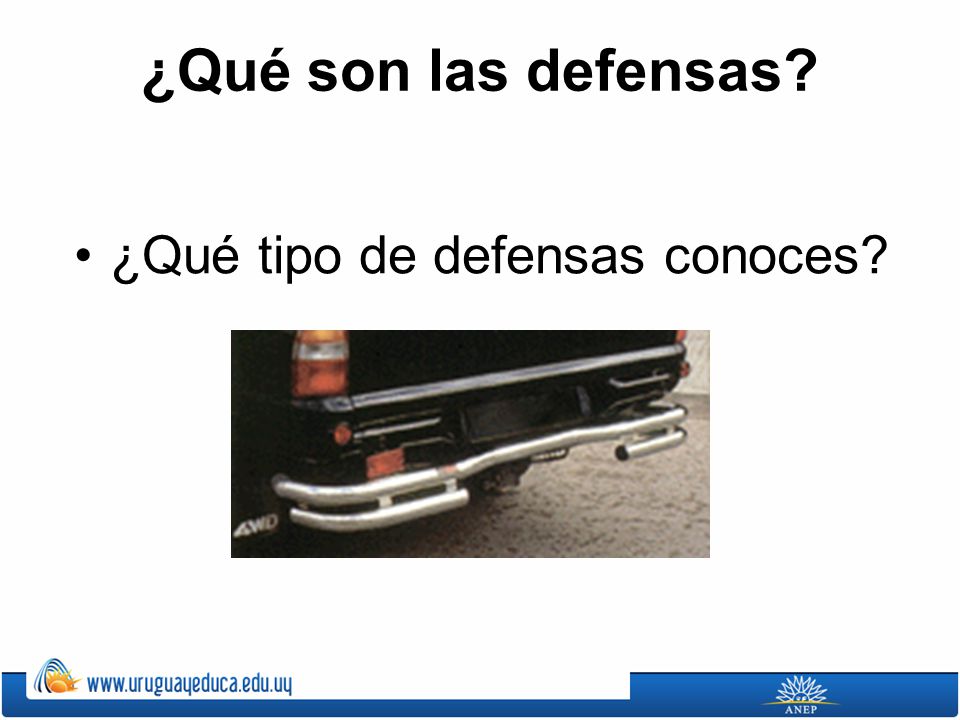 ¿Qué son las defensas ¿Qué tipo de defensas conoces