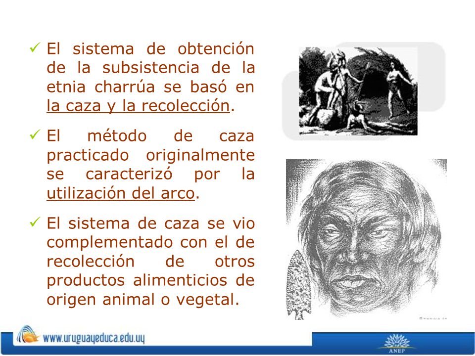 El sistema de obtención de la subsistencia de la etnia charrúa se basó en la caza y la recolección.