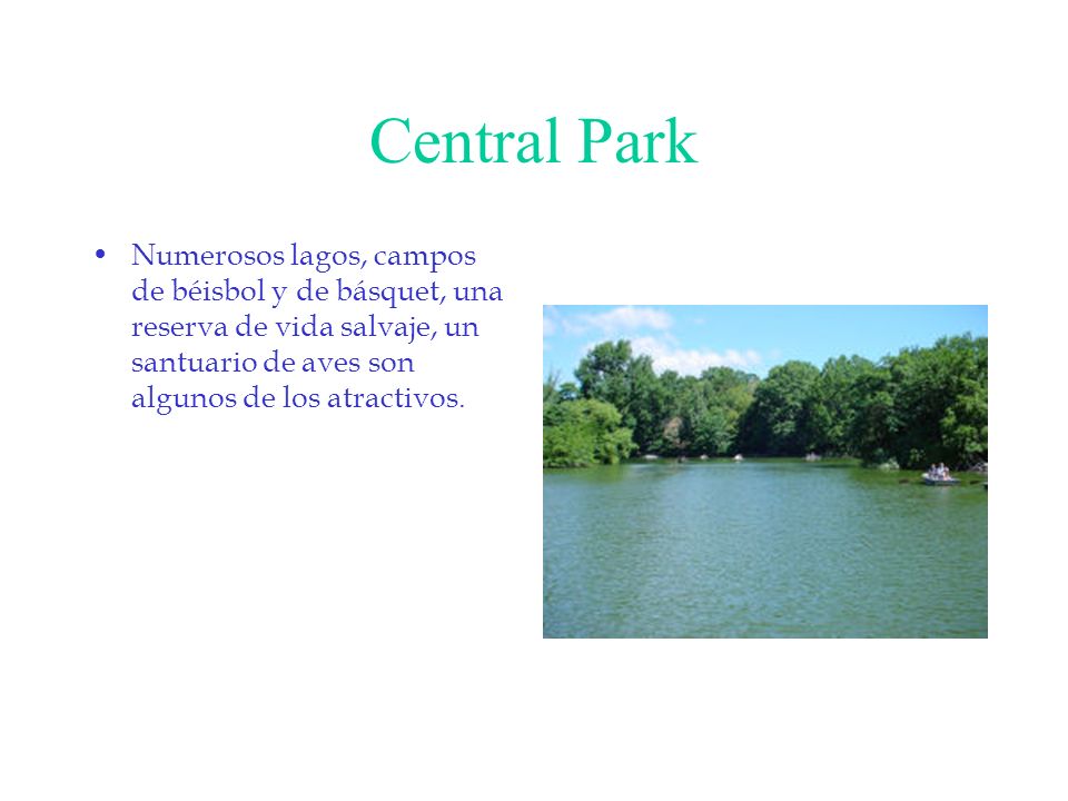 Central Park Numerosos lagos, campos de béisbol y de básquet, una reserva de vida salvaje, un santuario de aves son algunos de los atractivos.