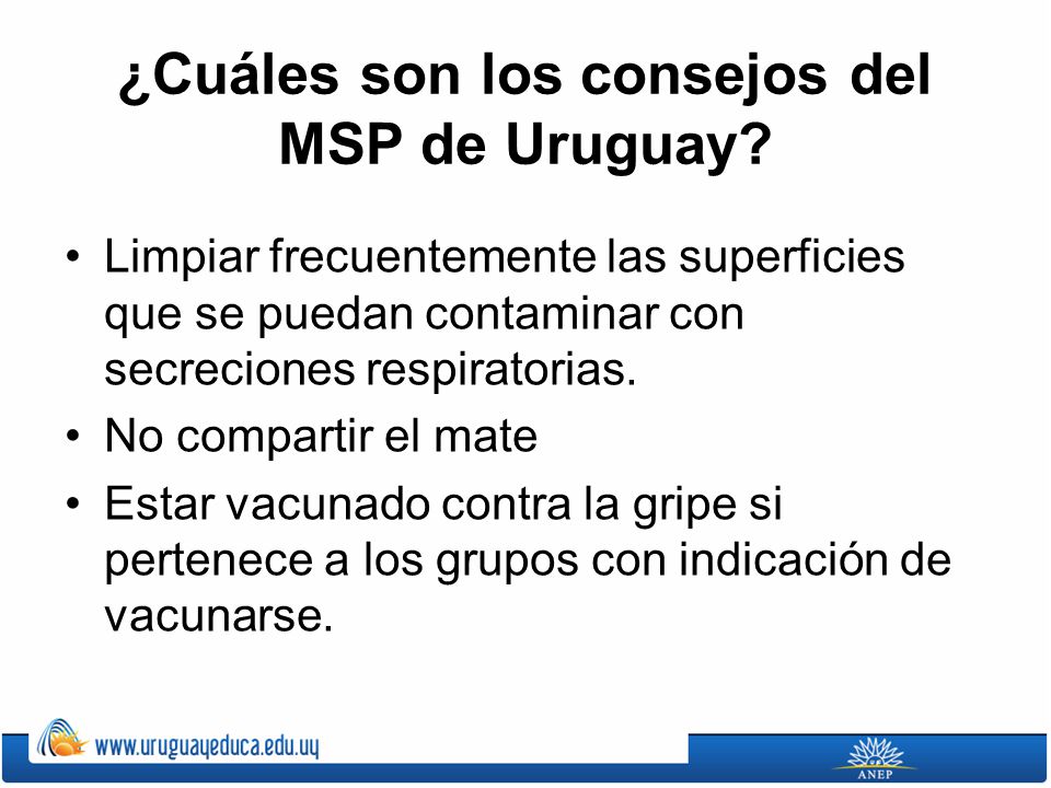 ¿Cuáles son los consejos del MSP de Uruguay
