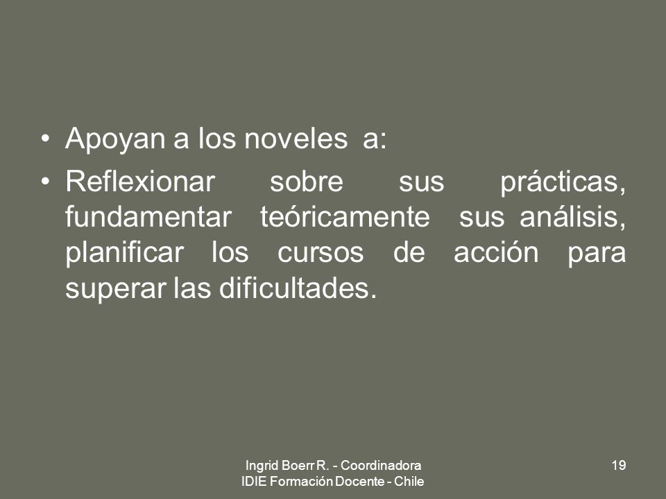 Ingrid Boerr R. - Coordinadora IDIE Formación Docente - Chile