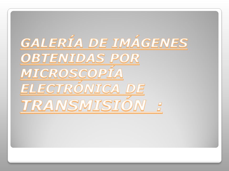 GALERÍA DE IMÁGENES OBTENIDAS POR MICROSCOPÍA ELECTRÓNICA DE TRANSMISIÓN :