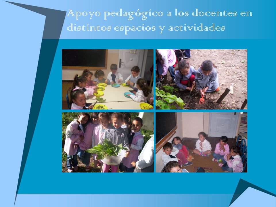 Apoyo pedagógico a los docentes en distintos espacios y actividades