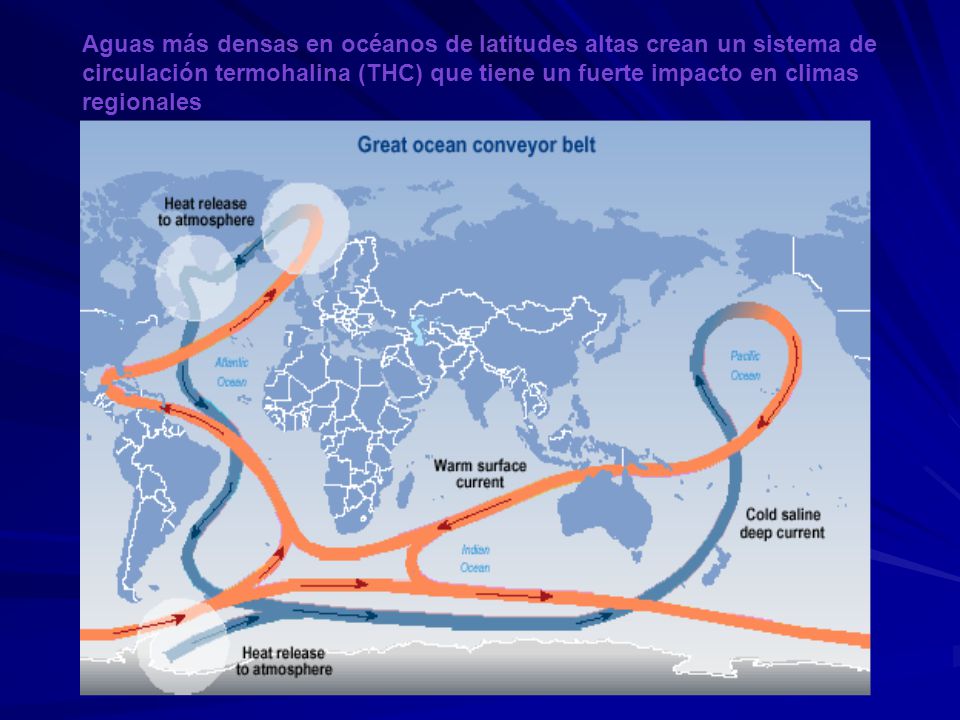 Aguas más densas en océanos de latitudes altas crean un sistema de circulación termohalina (THC) que tiene un fuerte impacto en climas regionales