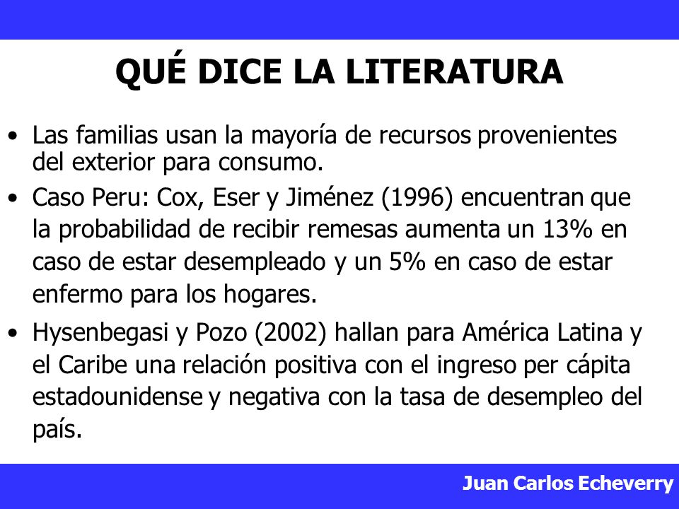QUÉ DICE LA LITERATURA Las familias usan la mayoría de recursos provenientes del exterior para consumo.