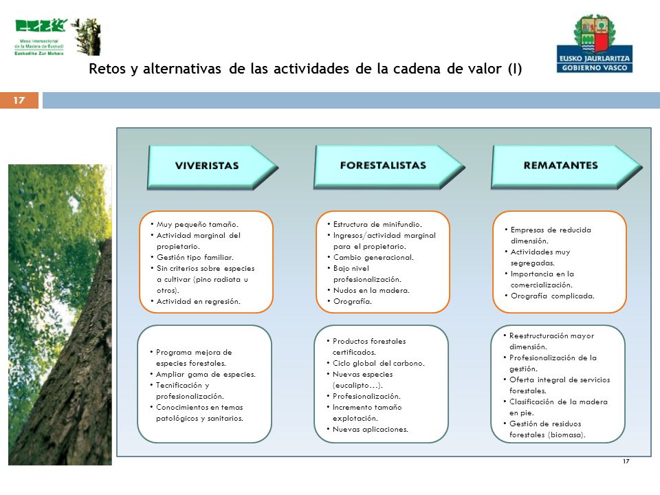 Retos y alternativas de las actividades de la cadena de valor (I)