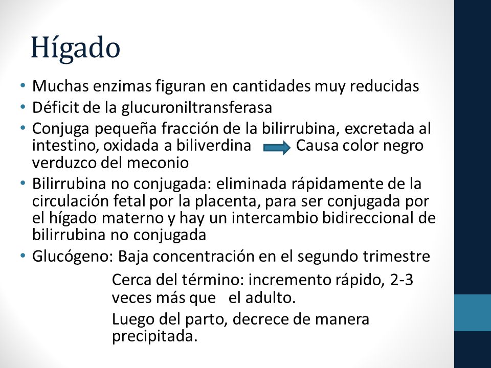 Hígado Muchas enzimas figuran en cantidades muy reducidas. Déficit de la glucuroniltransferasa.