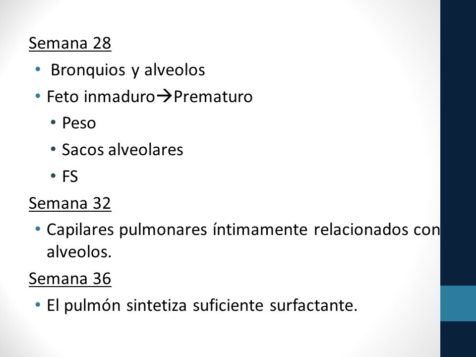 Semana 28 Bronquios y alveolos. Feto inmaduroPrematuro. Peso. Sacos alveolares. FS. Semana 32.