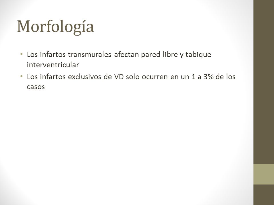 Morfología Los infartos transmurales afectan pared libre y tabique interventricular.