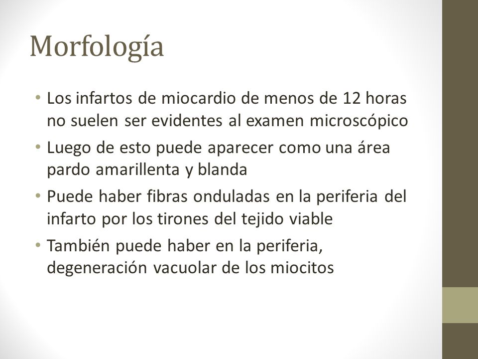 Morfología Los infartos de miocardio de menos de 12 horas no suelen ser evidentes al examen microscópico.