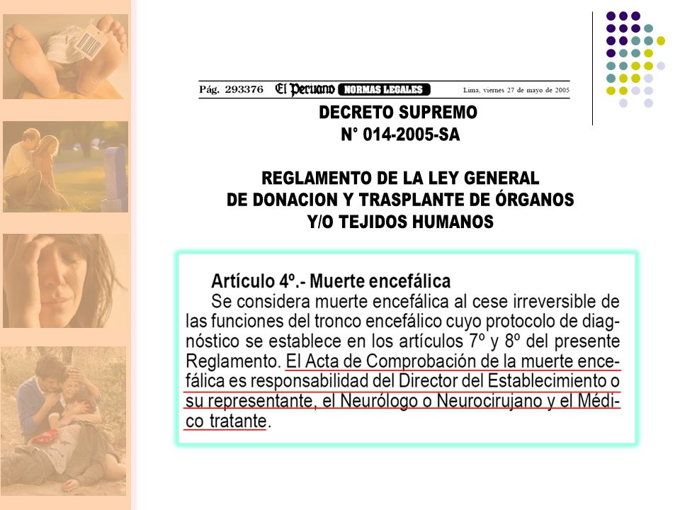REGLAMENTO DE LA LEY GENERAL DE DONACION Y TRASPLANTE DE ÓRGANOS