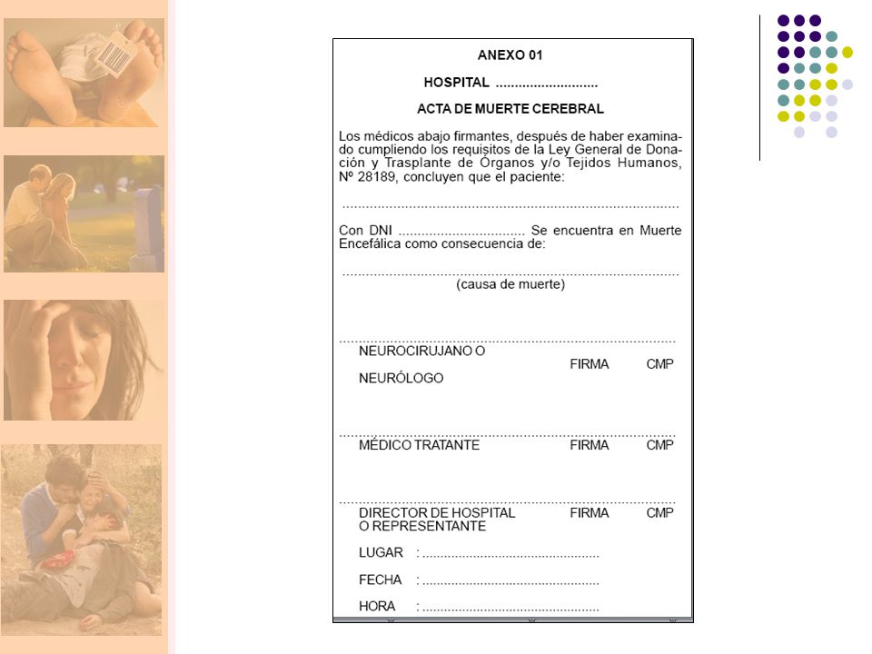 El protocolo utilizado para el diagnóstico de la muerte en este caso es diferente y debe ser aplicado por especialistas en ciencias neurológicas, hablándose entonces de muerte cerebral o muerte encefálica . En el pasado, algunos consideraban que era suficiente con el cese de actividad eléctrica en la corteza cerebral (lo que implica el fin de la consciencia) para determinar la muerte encefálica, es decir, el cese definitivo de la conciencia equivaldría a estar muerto, pero hoy se considera, en casi todo el mundo, difunta a una persona (aún si permanece con actividad cardiaca y ventiladora gracias al soporte artificial en una unidad de cuidados intensivos), tras el cese irreversible de la actividad vital de todo el cerebro incluido el tallo cerebral (estructura más baja del encéfalo encargada de la gran mayoría de las funciones vitales), comprobada mediante protocolos clínicos neurológicos bien definidos y soportada por pruebas especializadas.