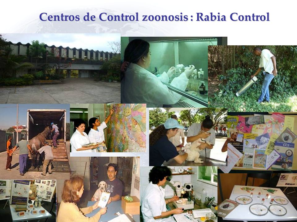Centros de Control zoonosis : Rabia Control