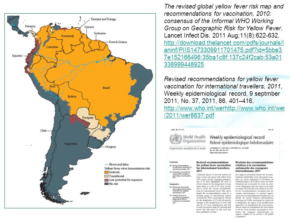 The revised global yellow fever risk map and recommendations for vaccination, 2010: consensus of the Informal WHO Working