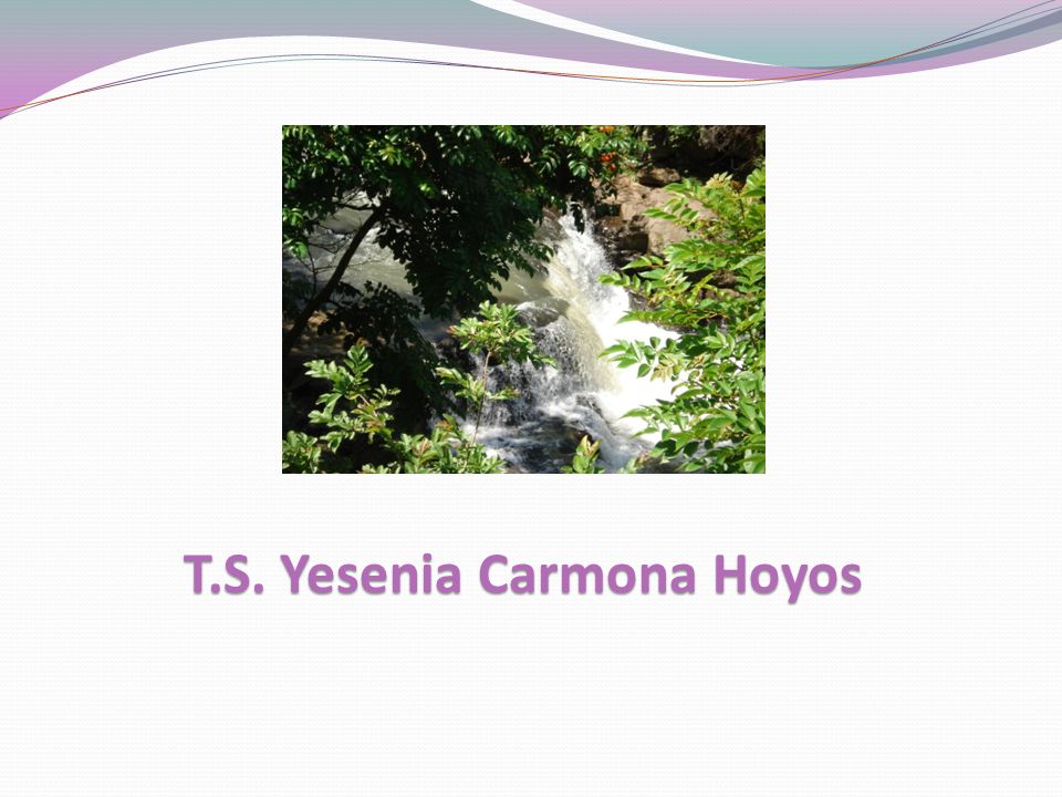 T.S. Yesenia Carmona Hoyos
