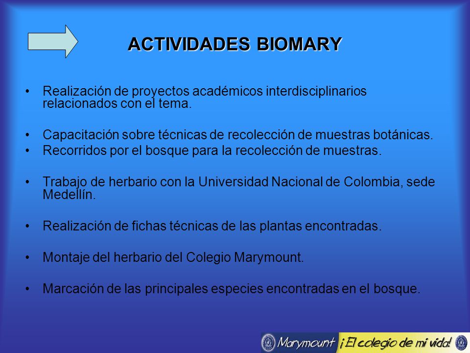 ACTIVIDADES BIOMARY Realización de proyectos académicos interdisciplinarios relacionados con el tema.