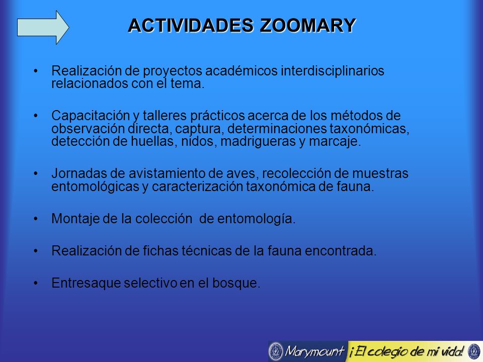 ACTIVIDADES ZOOMARY Realización de proyectos académicos interdisciplinarios relacionados con el tema.