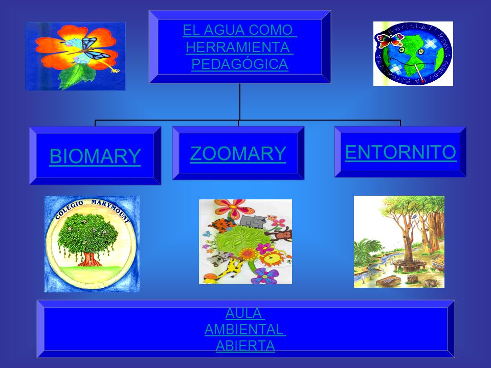 A partir del macroproyecto el agua como herramienta pedagógica, empezaron a trabajarse los proyectos de biomary, zoomary y entornito.