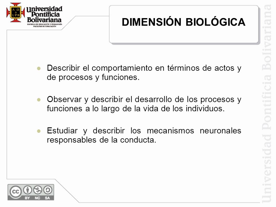 DIMENSIÓN BIOLÓGICA Describir el comportamiento en términos de actos y de procesos y funciones.