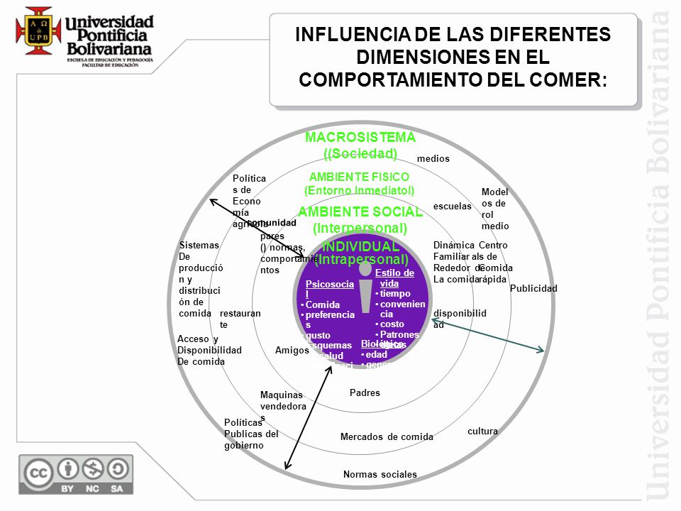 INFLUENCIA DE LAS DIFERENTES DIMENSIONES EN EL COMPORTAMIENTO DEL COMER: