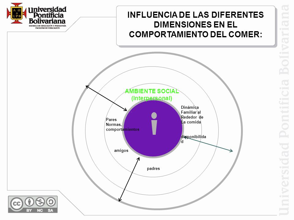 INFLUENCIA DE LAS DIFERENTES DIMENSIONES EN EL COMPORTAMIENTO DEL COMER: