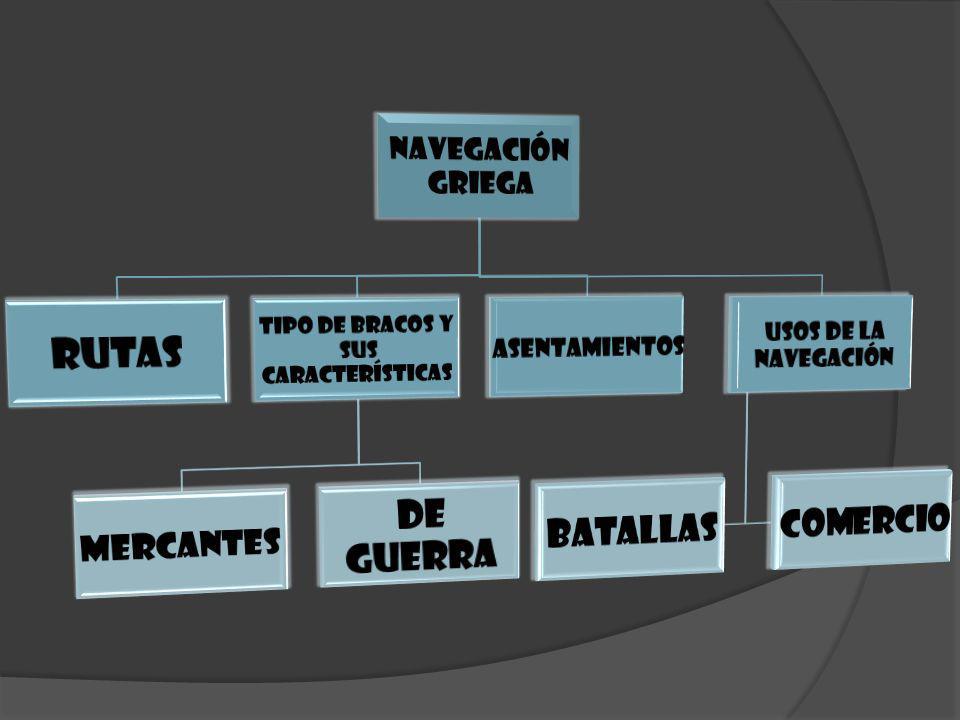 Tipo de bracos y sus características