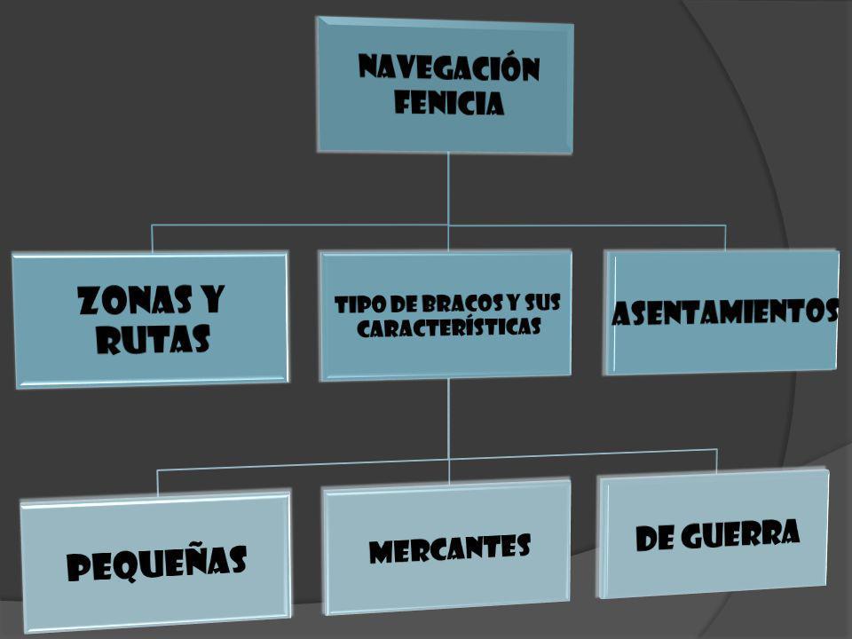 Tipo de bracos y sus características