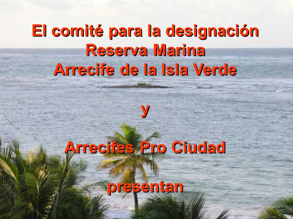 El comité para la designación Arrecife de la Isla Verde
