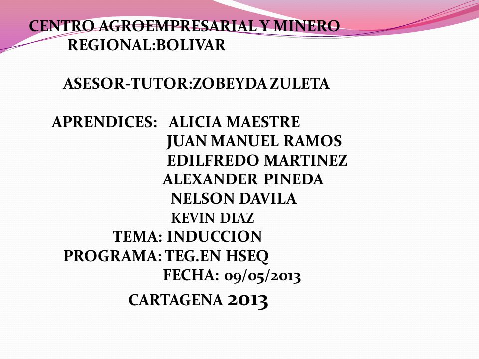 CENTRO AGROEMPRESARIAL Y MINERO REGIONAL:BOLIVAR ASESOR-TUTOR:ZOBEYDA ZULETA APRENDICES: ALICIA MAESTRE JUAN MANUEL RAMOS EDILFREDO MARTINEZ ALEXANDER PINEDA NELSON DAVILA KEVIN DIAZ TEMA: INDUCCION PROGRAMA: TEG.EN HSEQ FECHA: 09/05/2013 CARTAGENA 2013