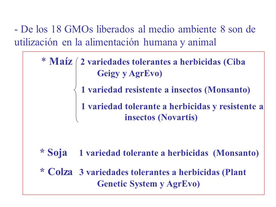 * Maíz 2 variedades tolerantes a herbicidas (Ciba Geigy y AgrEvo)