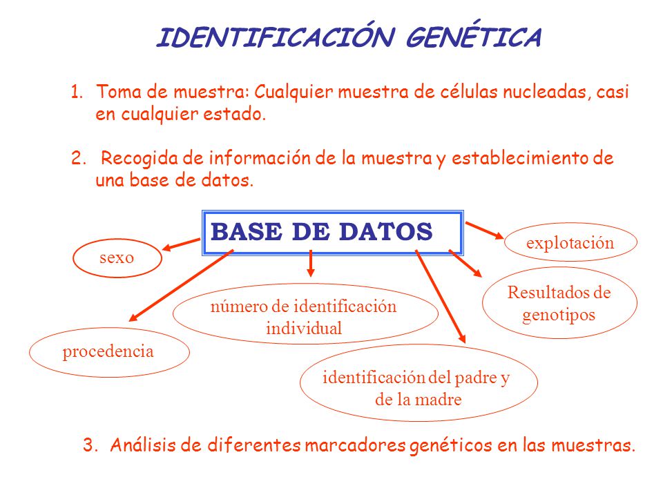 IDENTIFICACIÓN GENÉTICA