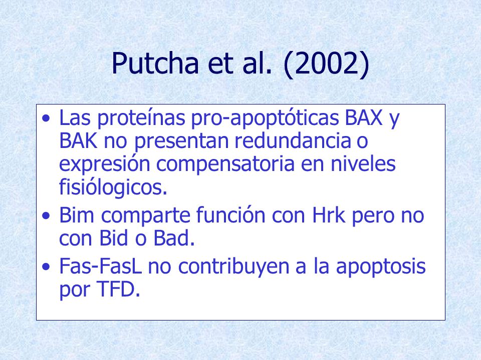 Putcha et al. (2002) Las proteínas pro-apoptóticas BAX y BAK no presentan redundancia o expresión compensatoria en niveles fisiólogicos.