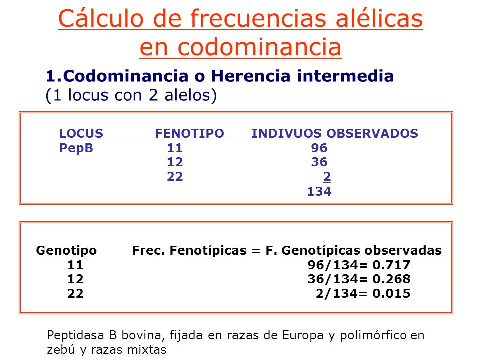 Genotipo Frec. Fenotípicas = F. Genotípicas observadas