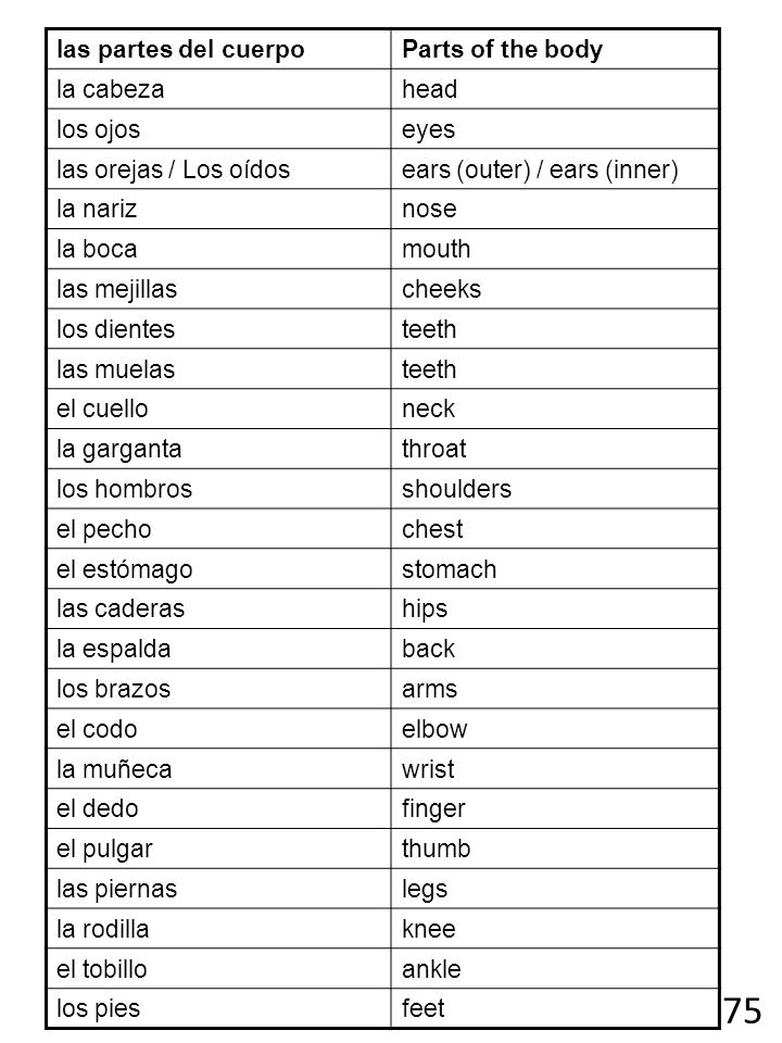 75 las partes del cuerpo Parts of the body la cabeza head los ojos