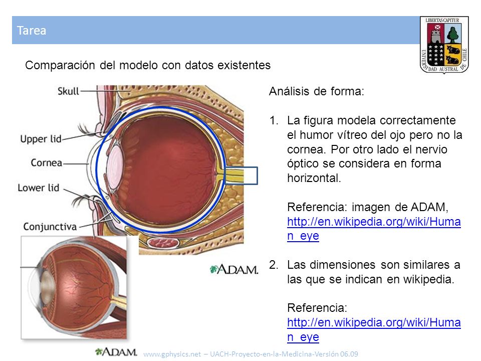 Tarea Comparación del modelo con datos existentes Análisis de forma:
