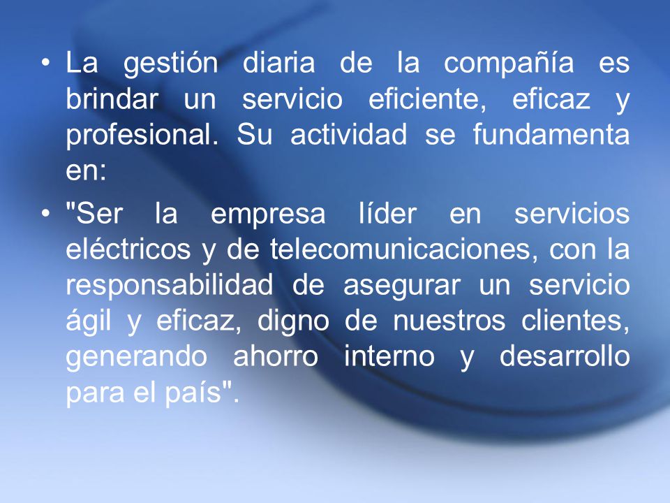 La gestión diaria de la compañía es brindar un servicio eficiente, eficaz y profesional. Su actividad se fundamenta en: