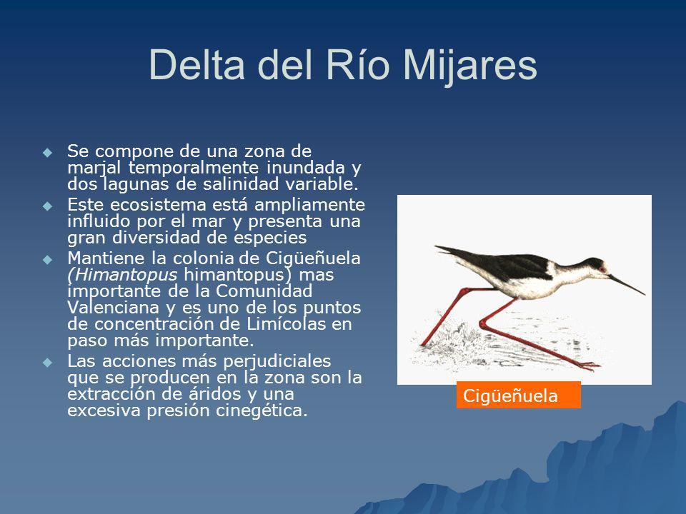 Delta del Río Mijares Se compone de una zona de marjal temporalmente inundada y dos lagunas de salinidad variable.