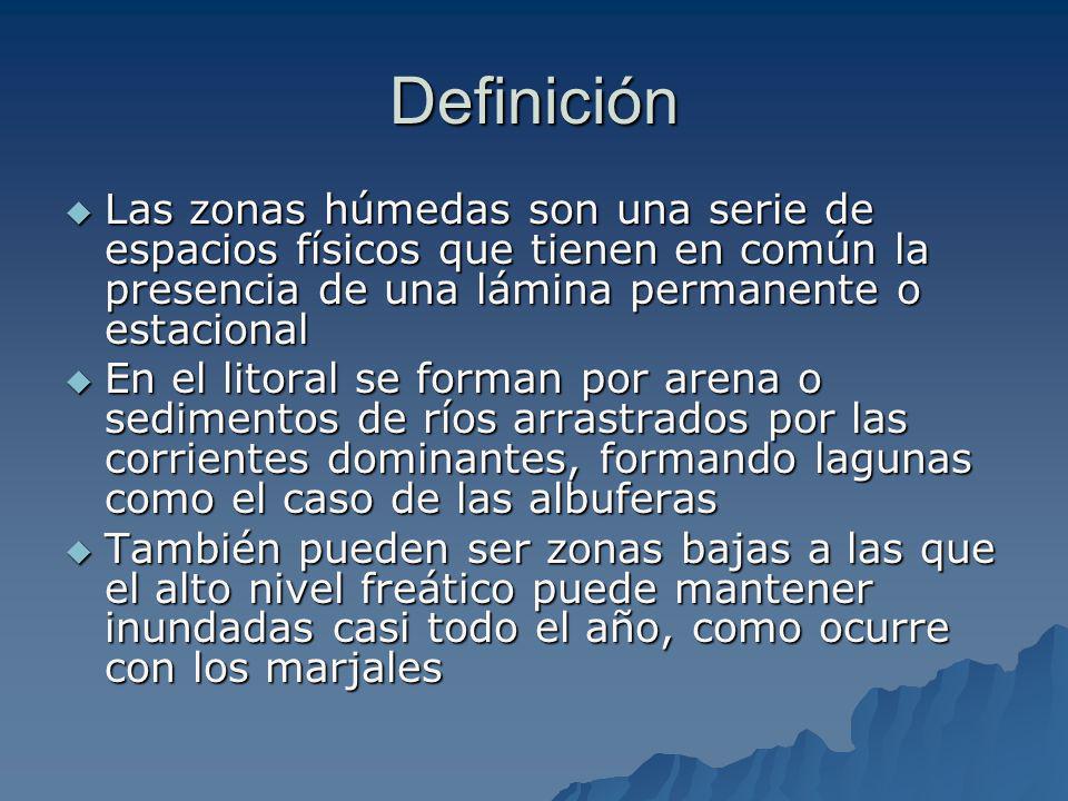 Definición Las zonas húmedas son una serie de espacios físicos que tienen en común la presencia de una lámina permanente o estacional.