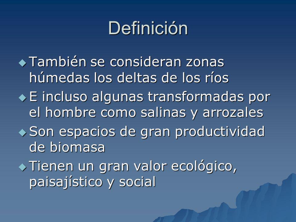 Definición También se consideran zonas húmedas los deltas de los ríos