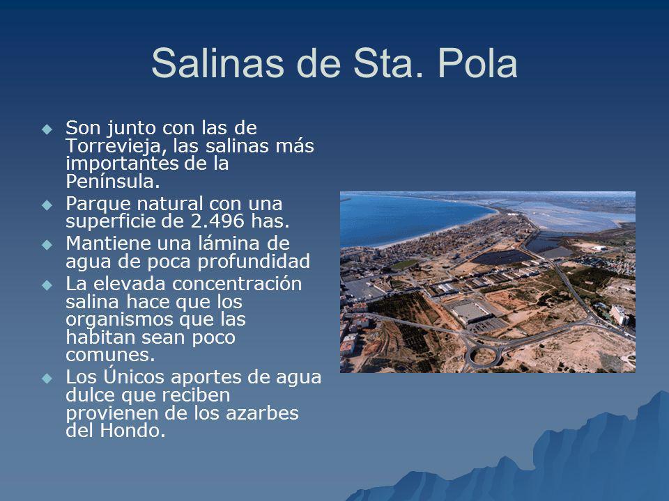 Salinas de Sta. Pola Son junto con las de Torrevieja, las salinas más importantes de la Península. Parque natural con una superficie de has.