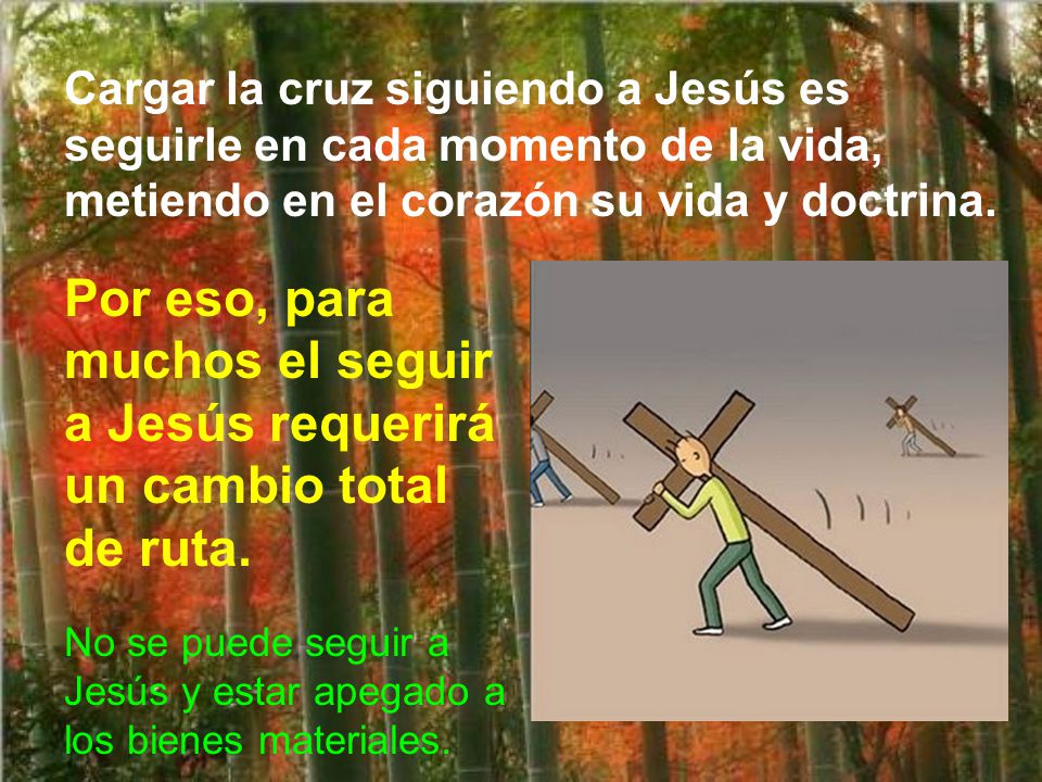 Cargar la cruz siguiendo a Jesús es seguirle en cada momento de la vida, metiendo en el corazón su vida y doctrina.