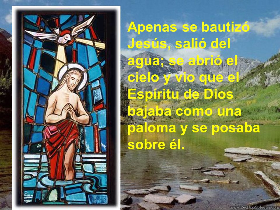 Apenas se bautizó Jesús, salió del agua; se abrió el cielo y vio que el Espíritu de Dios bajaba como una paloma y se posaba sobre él.