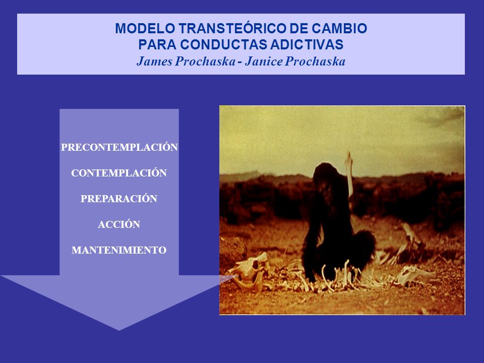 MODELO TRANSTEÓRICO DE CAMBIO PARA CONDUCTAS ADICTIVAS James Prochaska - Janice Prochaska