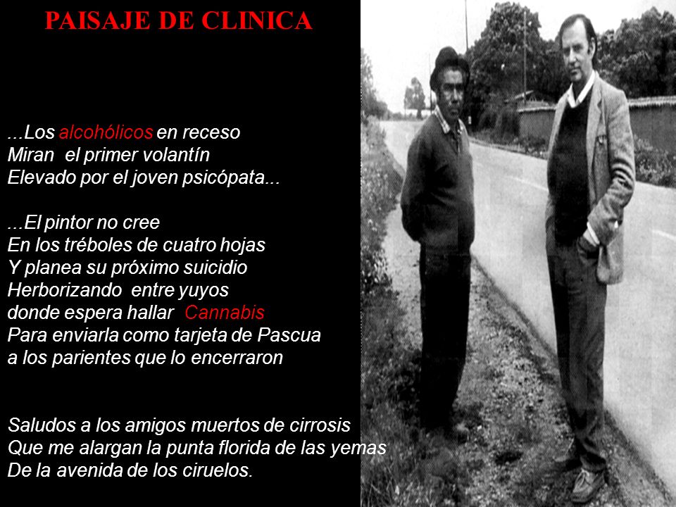 PAISAJE DE CLINICA ...Los alcohólicos en receso
