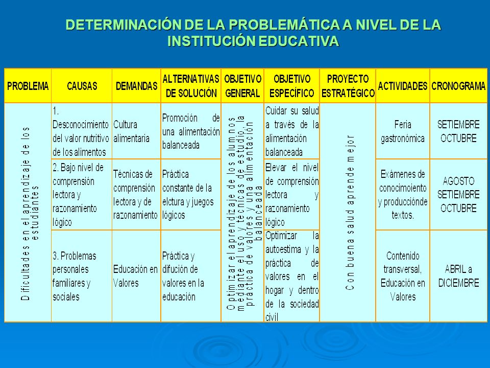 DETERMINACIÓN DE LA PROBLEMÁTICA A NIVEL DE LA INSTITUCIÓN EDUCATIVA