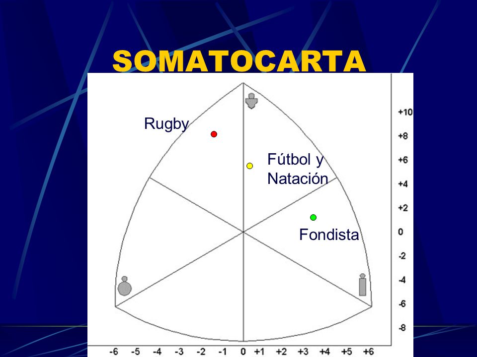 SOMATOCARTA Rugby Fútbol y Natación Fondista