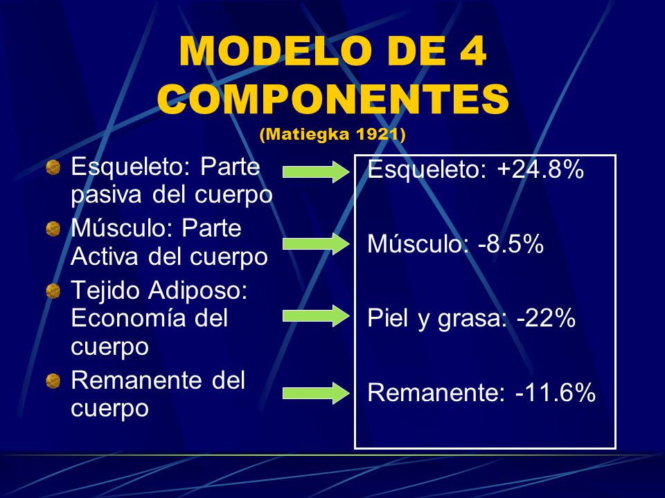 MODELO DE 4 COMPONENTES (Matiegka 1921)