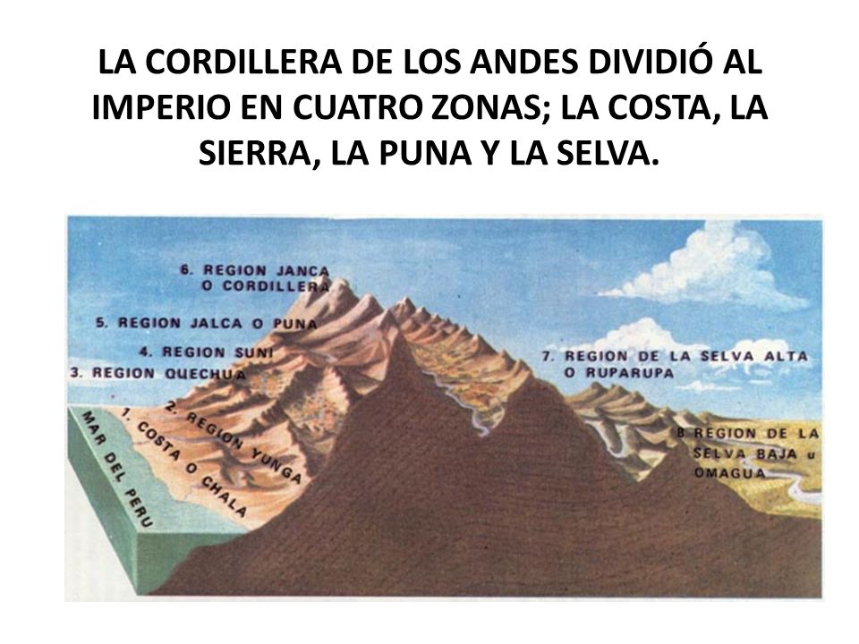 LA CORDILLERA DE LOS ANDES DIVIDIÓ AL IMPERIO EN CUATRO ZONAS; LA COSTA, LA SIERRA, LA PUNA Y LA SELVA.