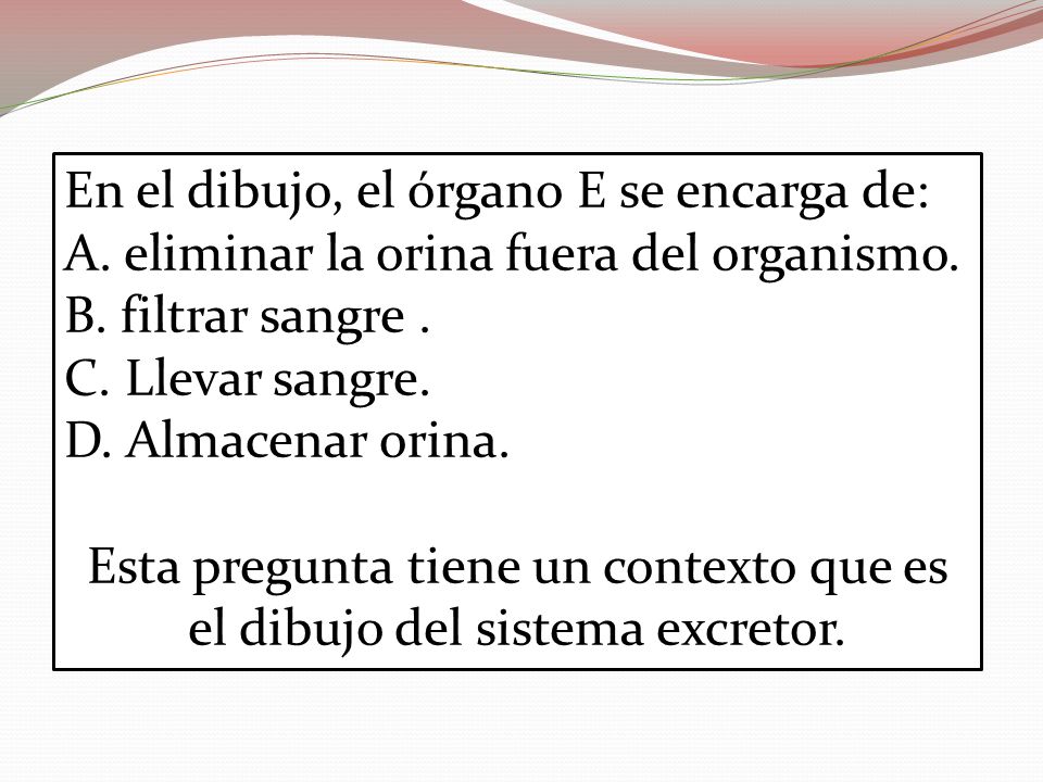 Esta pregunta tiene un contexto que es el dibujo del sistema excretor.